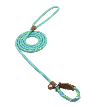 Premium Nylon Pup Set - Dog Collar & Leash Kit