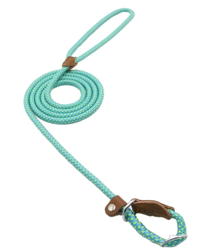 Premium Nylon Pup Set - Dog Collar & Leash Kit