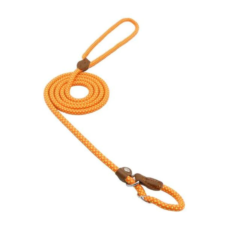 Premium Nylon Pup Set - Dog Collar & Leash Kit