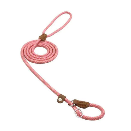 Premium Nylon Pup Set - Dog Collar & Leash Kit