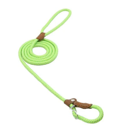 Premium Nylon Pup Set - Dog Collar & Leash Kit