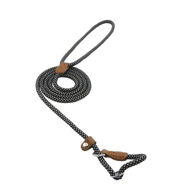 Premium Nylon Pup Set - Dog Collar & Leash Kit