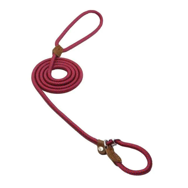 Premium Nylon Pup Set - Dog Collar & Leash Kit