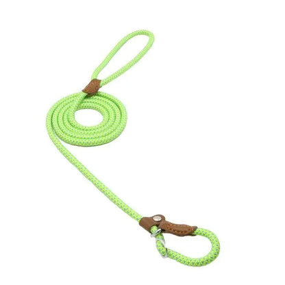 Premium Nylon Pup Set - Dog Collar & Leash Kit