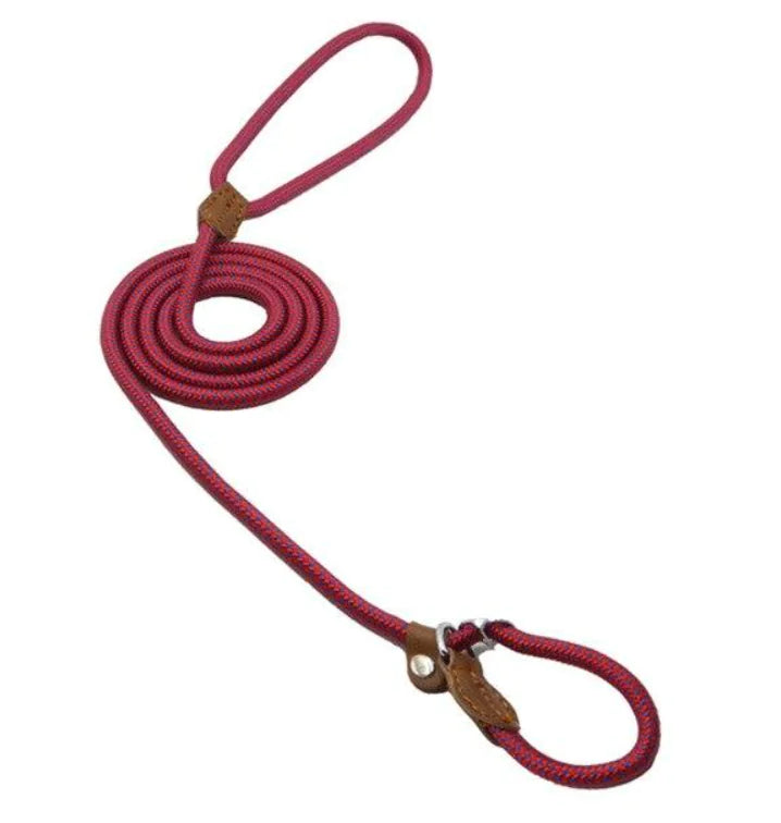 Premium Nylon Pup Set - Dog Collar & Leash Kit
