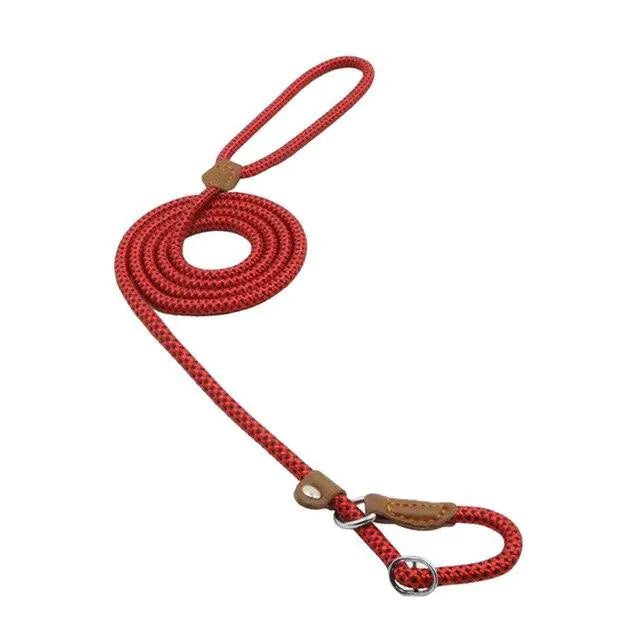 Premium Nylon Pup Set - Dog Collar & Leash Kit