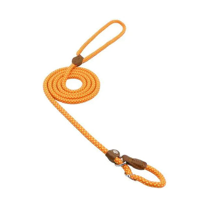 Premium Nylon Pup Set - Dog Collar & Leash Kit