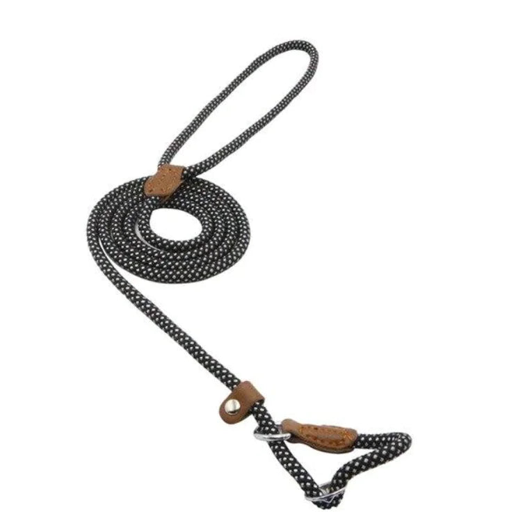 Premium Nylon Pup Set - Dog Collar & Leash Kit