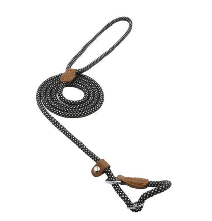 Premium Nylon Pup Set - Dog Collar & Leash Kit